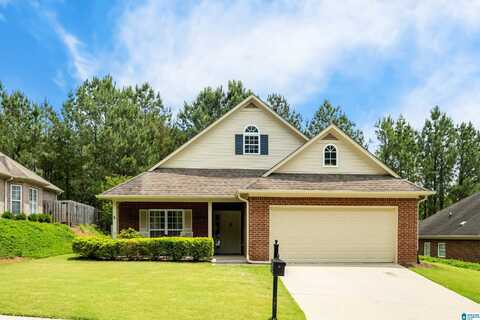 917 NARROWS POINT DRIVE, BIRMINGHAM, AL 35242