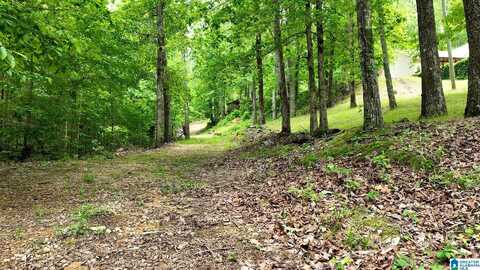 COLVIN SPRINGS ROAD, ASHVILLE, AL 35953
