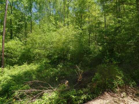 10130 E Dobson Road, Bloomfield, IN 47424