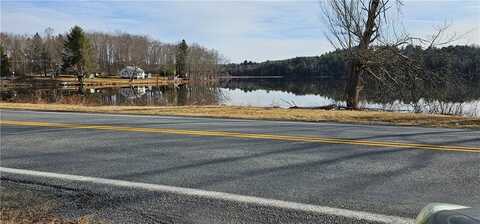 490 Briscoe Road, Swan Lake, NY 12783