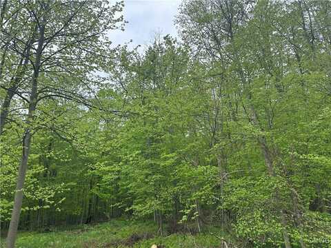 2460 Hitchings Road, Otisco, NY 13084
