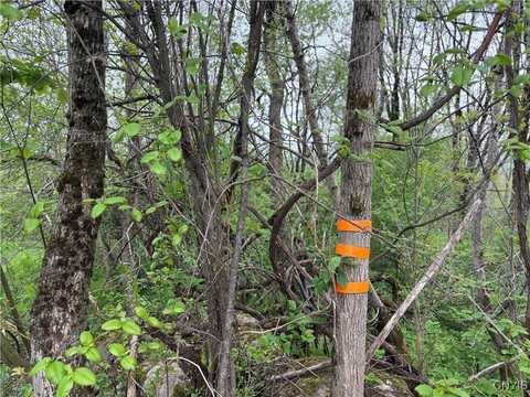 Sulphur Springs Rd Road, Norway, NY 13416