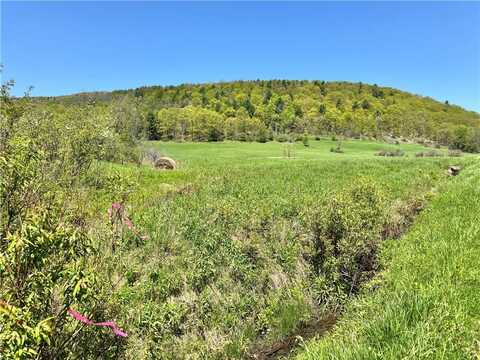 463 Cemetery Road, Seward, NY 12043