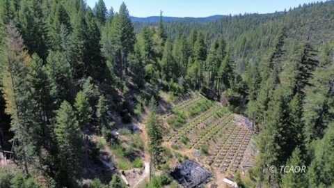 257 Evening Star Ct, Trinity Pines, CA 96041