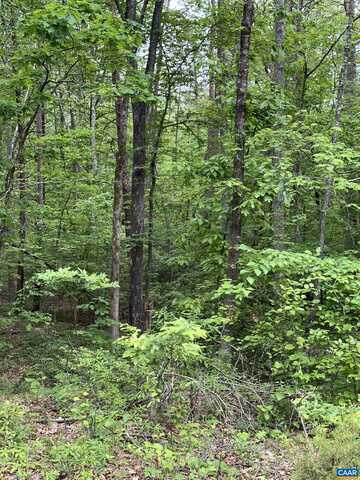 000 HARBOR DR, ORANGE, VA 22960