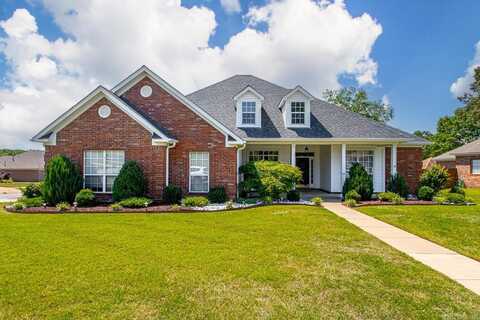3615 Heidi Court, Conway, AR 72034