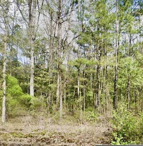 "TBD" Buck Run, Hensley, AR 72065