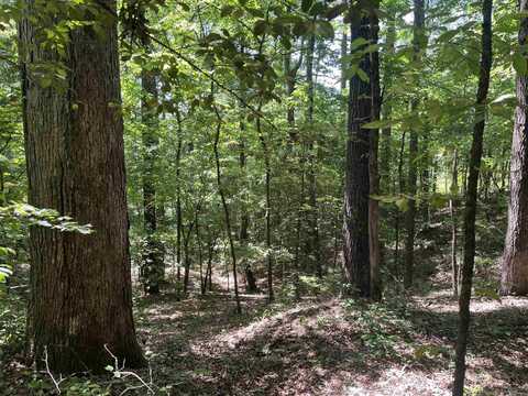 Mount Carmel Road, Dierks, AR 71833