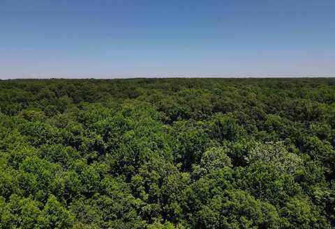 undefined, La Grange, AR 72352