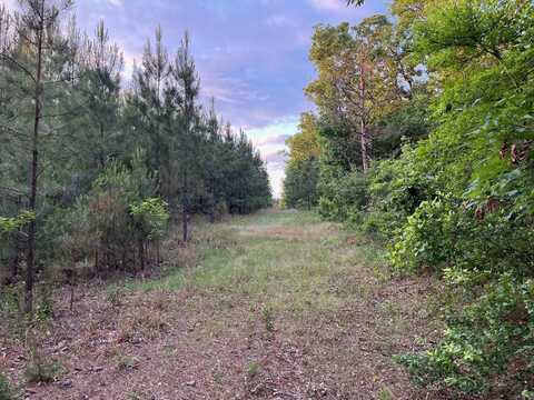 141 N Quail Lane, Murfreesboro, AR 71958