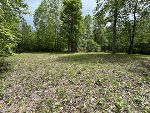 2795 Raulston Falls Road, Jasper, TN 37347