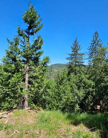 5148 Wylderidge Drive, Murphys, CA 95247