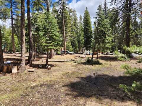 99 Monty Wolf Road, Bear Valley, CA 95223
