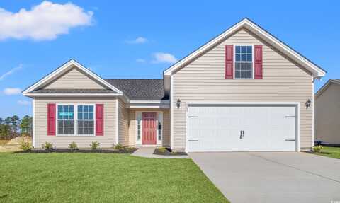 339 Barn Owl Way, Conway, SC 29527