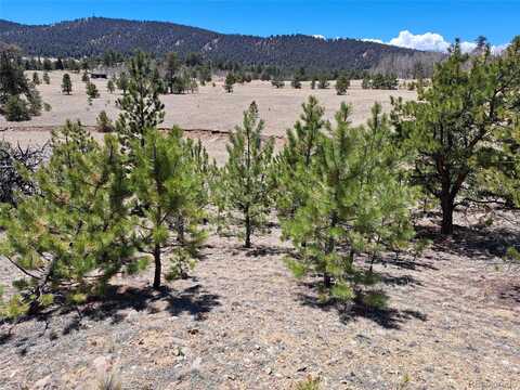 1038 Costella Drive, Hartsel, CO 80449