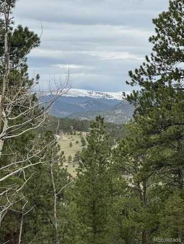 Mockingbird Trail, Bailey, CO 80421