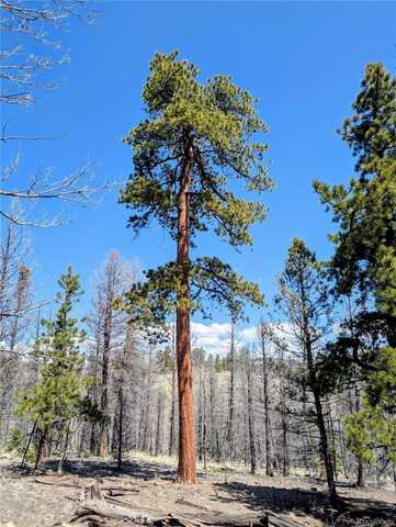 1164 Frees Loop, Guffey, CO 80820