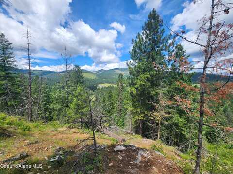 Nna W 40 Acres Cougar Gulch Rd, Coeur D Alene, ID 83814