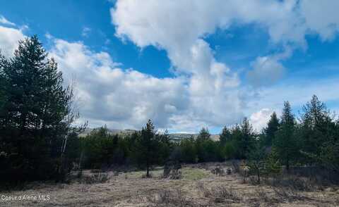 6450 Alder Creek Rd, Saint Maries, ID 83861