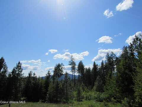 7063 S BUCKRAIL RD, Harrison, ID 83833