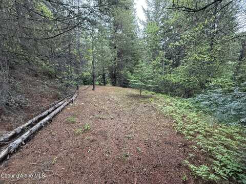 1605 Crystal Peak Rd, Fernwood, ID 83830