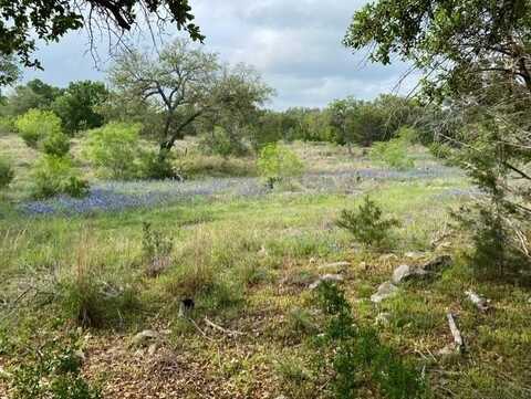 1365 Pedernales Hills Dr, Johnson City, TX 78636