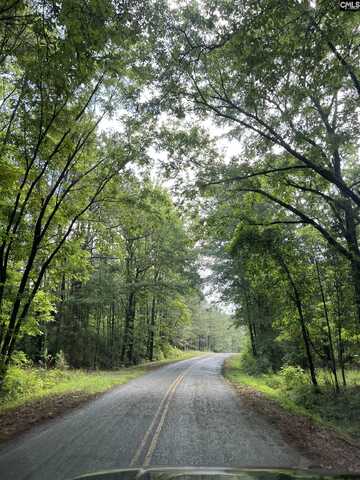 TBD Gin Branch Court, Leesville, SC 29070