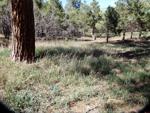 90 Knife Edge Place, Pagosa Springs, CO 81147