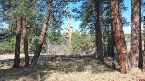 3169 Meadows Drive, Pagosa Springs, CO 81147