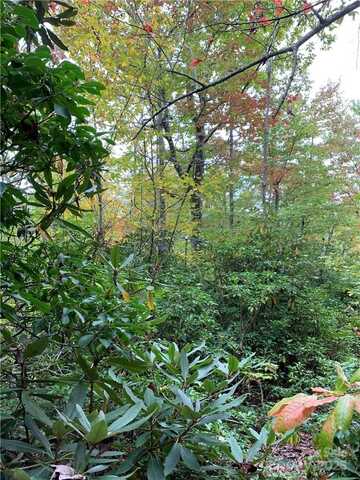 000 Eastatoe Gap Road, Rosman, NC 28772