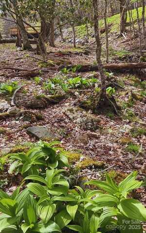 Lot 38 Poplar Forest Drive, Boone, NC 28607