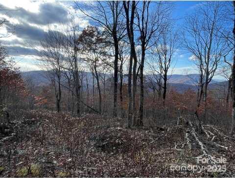 Crown Point Road lot: 16, West Jefferson, NC 28695