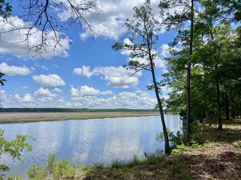 299  #3 Tilly Point Way, Green Pond, SC 29446