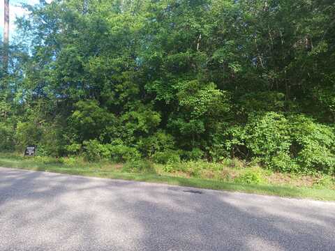 0 Fox Field Road, Walterboro, SC 29488