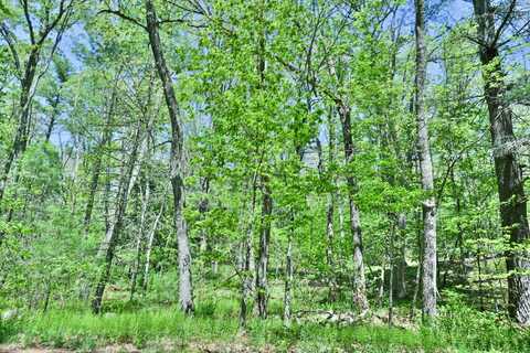 634 Parcel B 5 Mile River Road, Putnam, CT 06260
