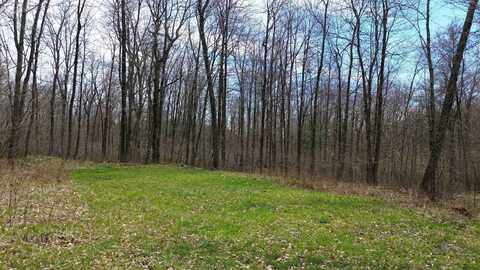 1711 GUERNSEY DRIVE, Amherst Junction, WI 54407