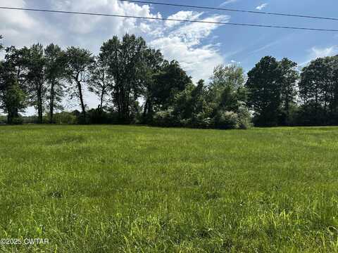 Lot 21 Catfish Ln, Crump, TN 38327