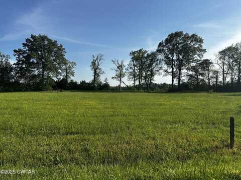 Lot 31 Catfish Lane, Crump, TN 38327