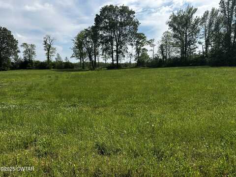 Lot 29 Tennessee River, Crump, TN 38327