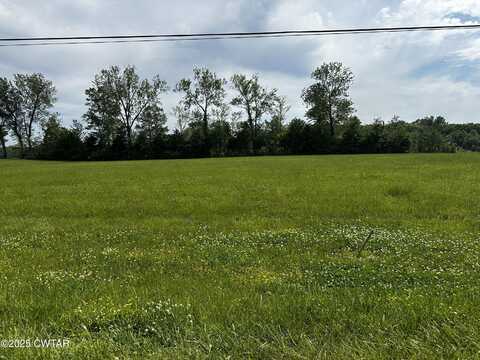 Lot 5 Tennessee River, Crump, TN 38327