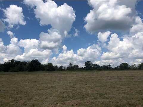 4195 Cedar springs road, Ashford, AL 36312