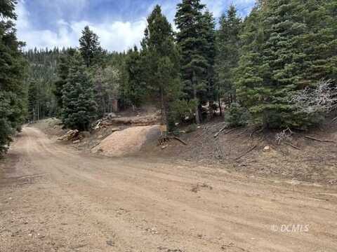 Bonnie Green, Duck Creek Village, UT 84762