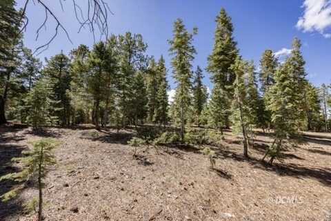 3180 N Aspen Rd, Duck Creek Village, UT 84762