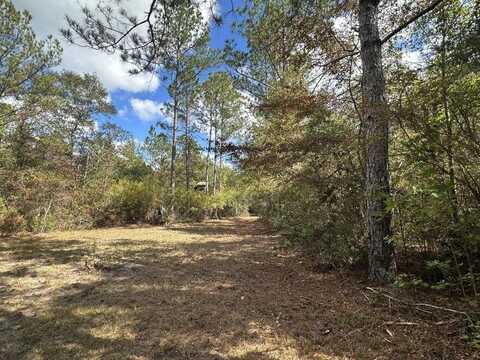 20 Ac Lacey Lane, Crestview, FL 32536