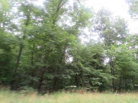 00 KY RT 1624, Flatgap, KY 41219