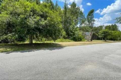 4220 Final Approach Drive, Eastover, NC 28312