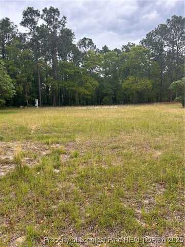 113 Ginger Lane, Hamlet, NC 28345