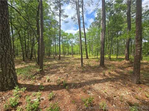 0 Avery Road, Fayetteville, NC 28312