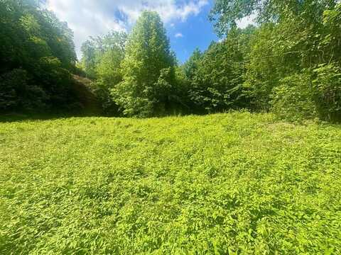 321 Mount Keys, Bryson City, NC 28713