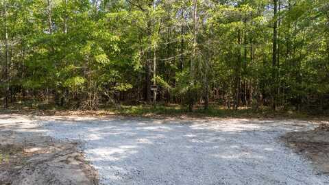 0 WASP Loop, Williston, SC 29853